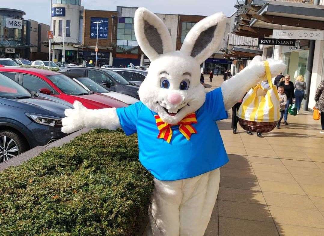 Bring the camera and snap a selfie with Benji the Bunny. Picture: Grayling