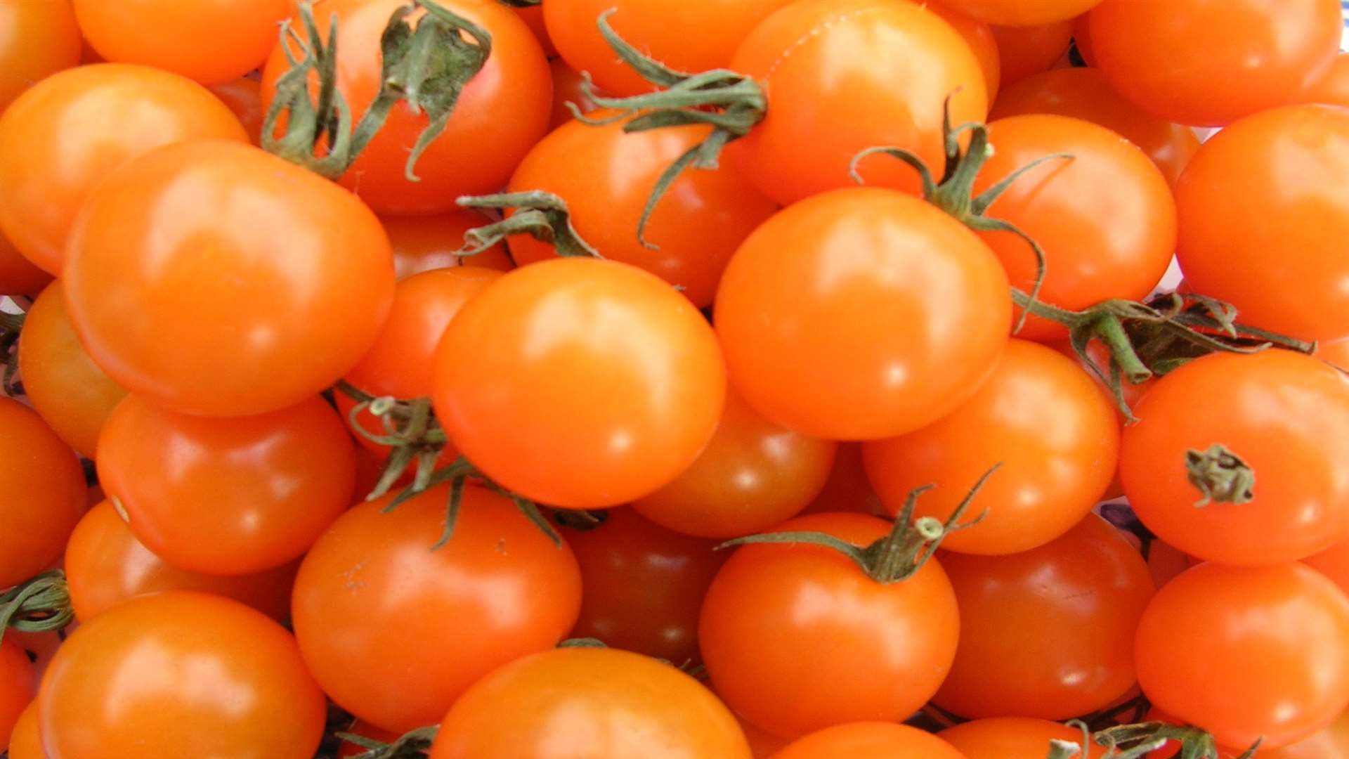 APS Group is the largest tomato grower in the UK