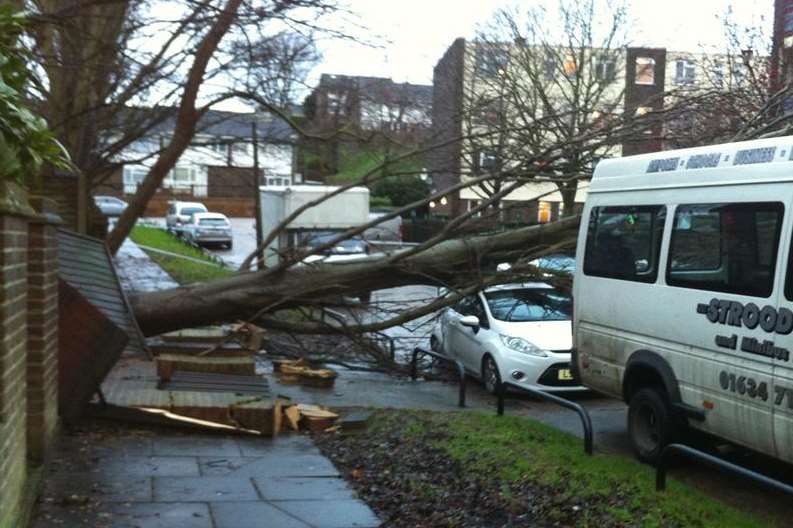 A fallen tree in Witham Way, Strood