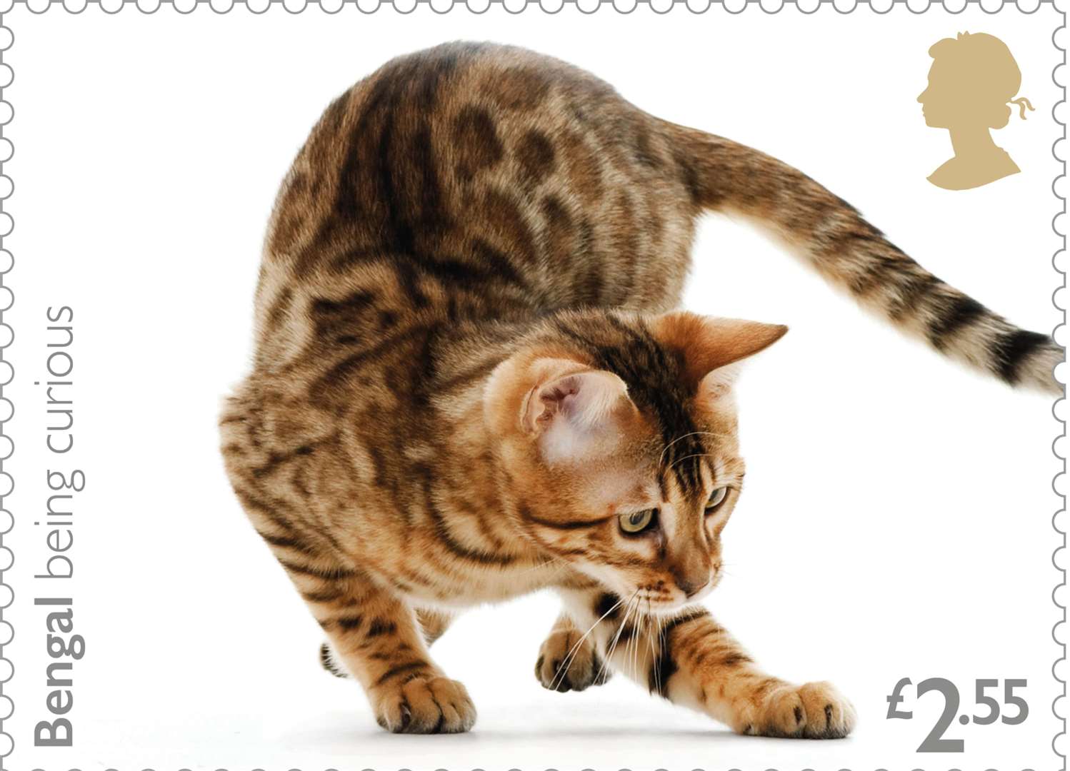 Royal Mail has issued a set of stamps celebrating the domestic cat