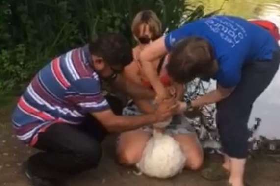 The swan rescue was caught on camera