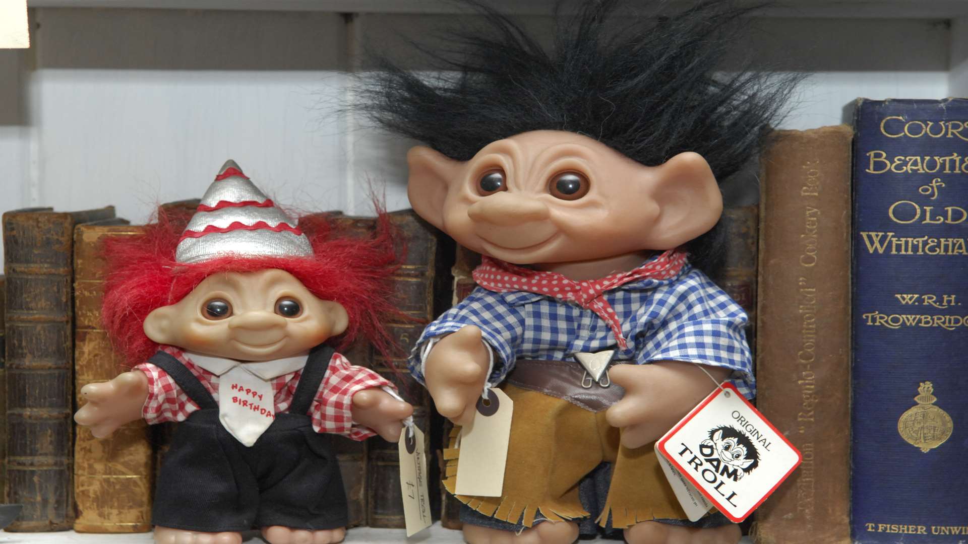 Pick up a troll doll at Trash or Treasure in Maidstone's Week Street