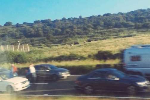People queuing near Dover