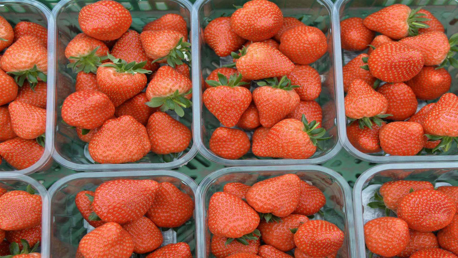 Strawberries covered in poisonous chemicals were stolen from a farm in Ulcombe. Stock image