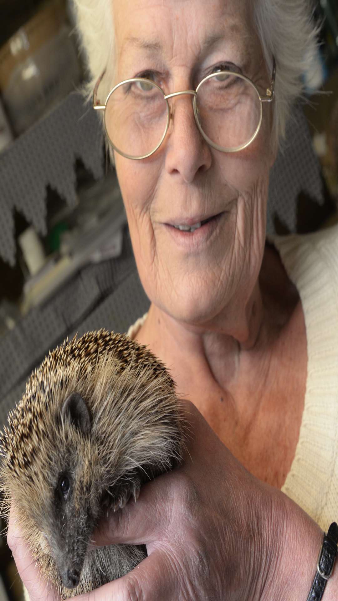 Mary Lane who runs Spikes Hedgehog Centre in Dargate Road, Yorkletts