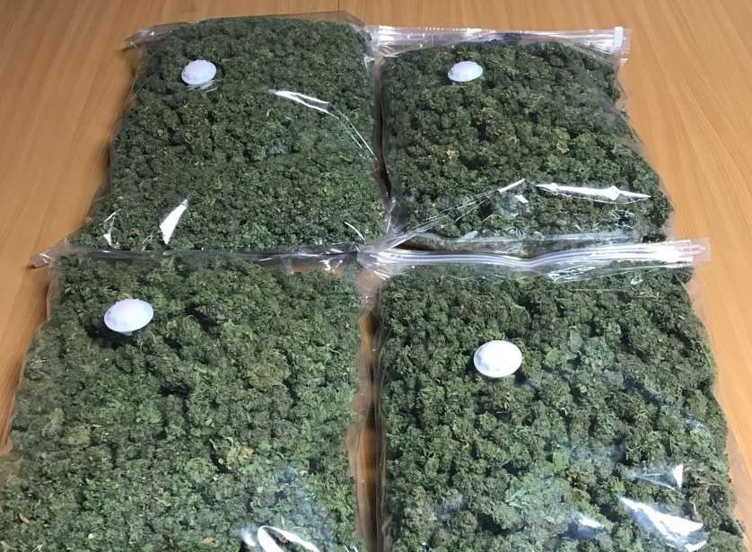 The cannabis was seized by Shepway police officers. Picture: Kent Police Shepway