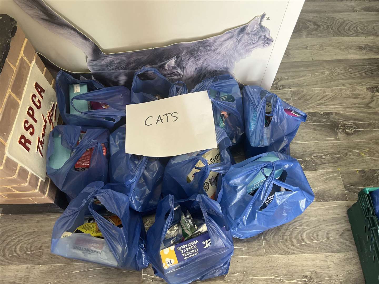 The team at Ashford Garden Cattery have been busy making pet food parcels for cats and dogs