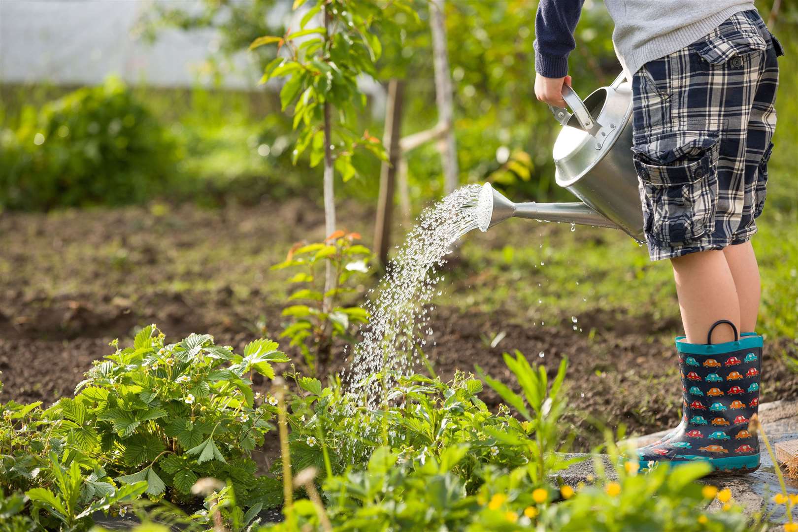 Get the kids into the garden for some fresh air and tackle some gardening together