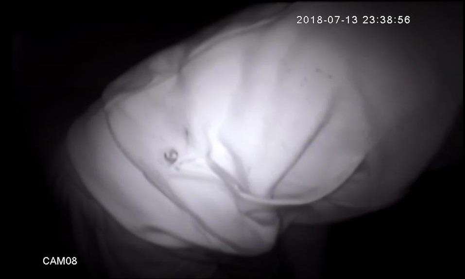Police have released this footage after an agggravated burglary in Gravesend (3193903)