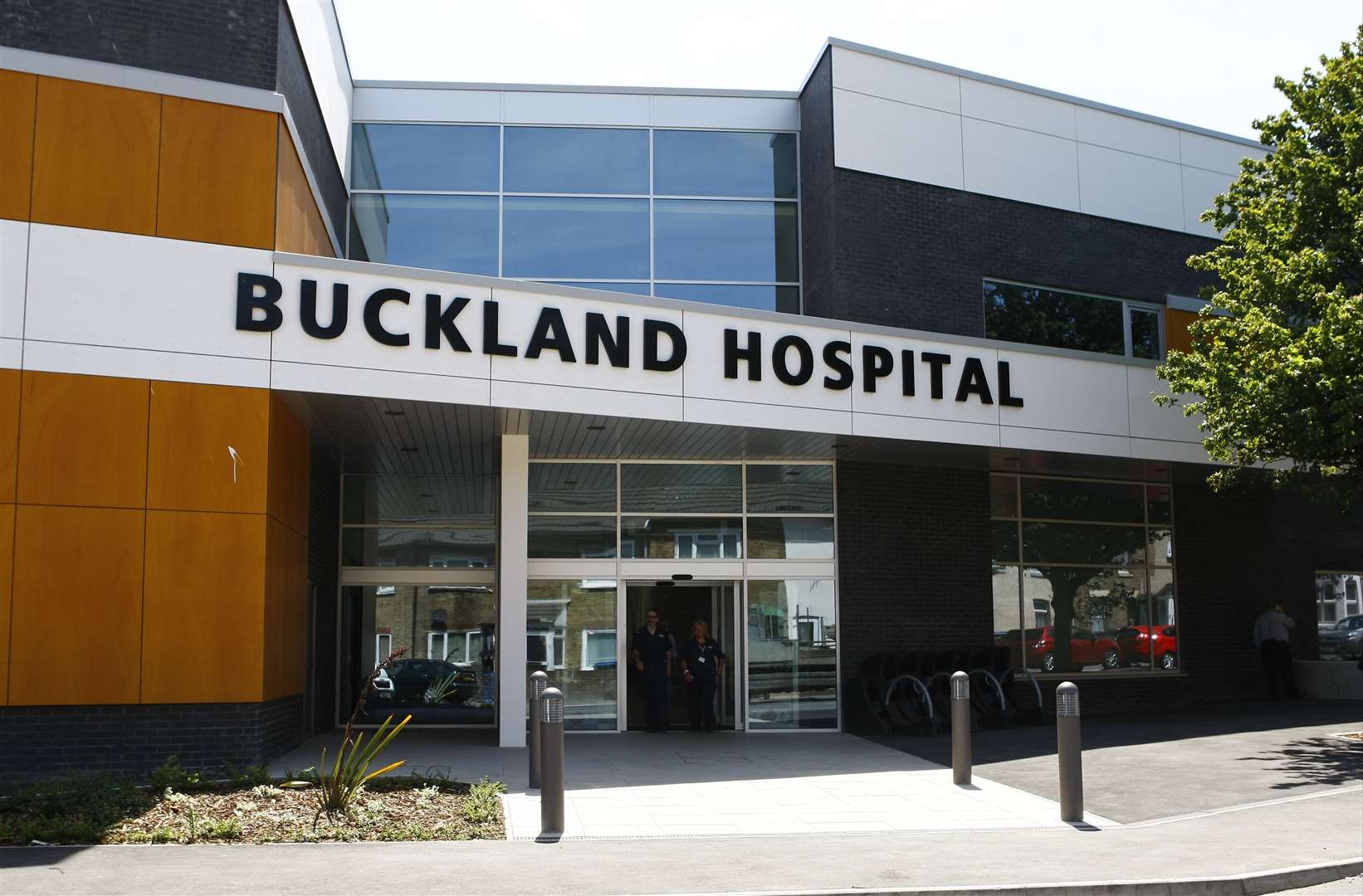 Buckland Hospital - petitioners want A&E brought back