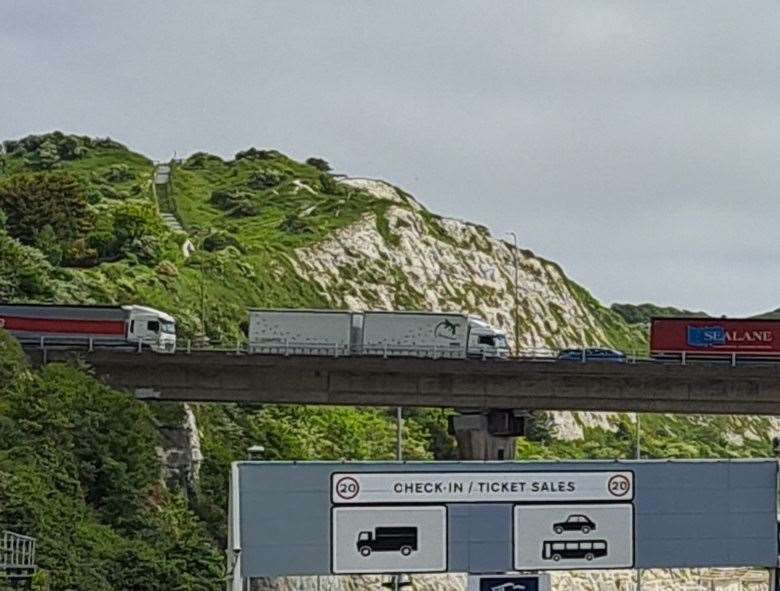 Freight and holiday traffic is blocking routes into Dover