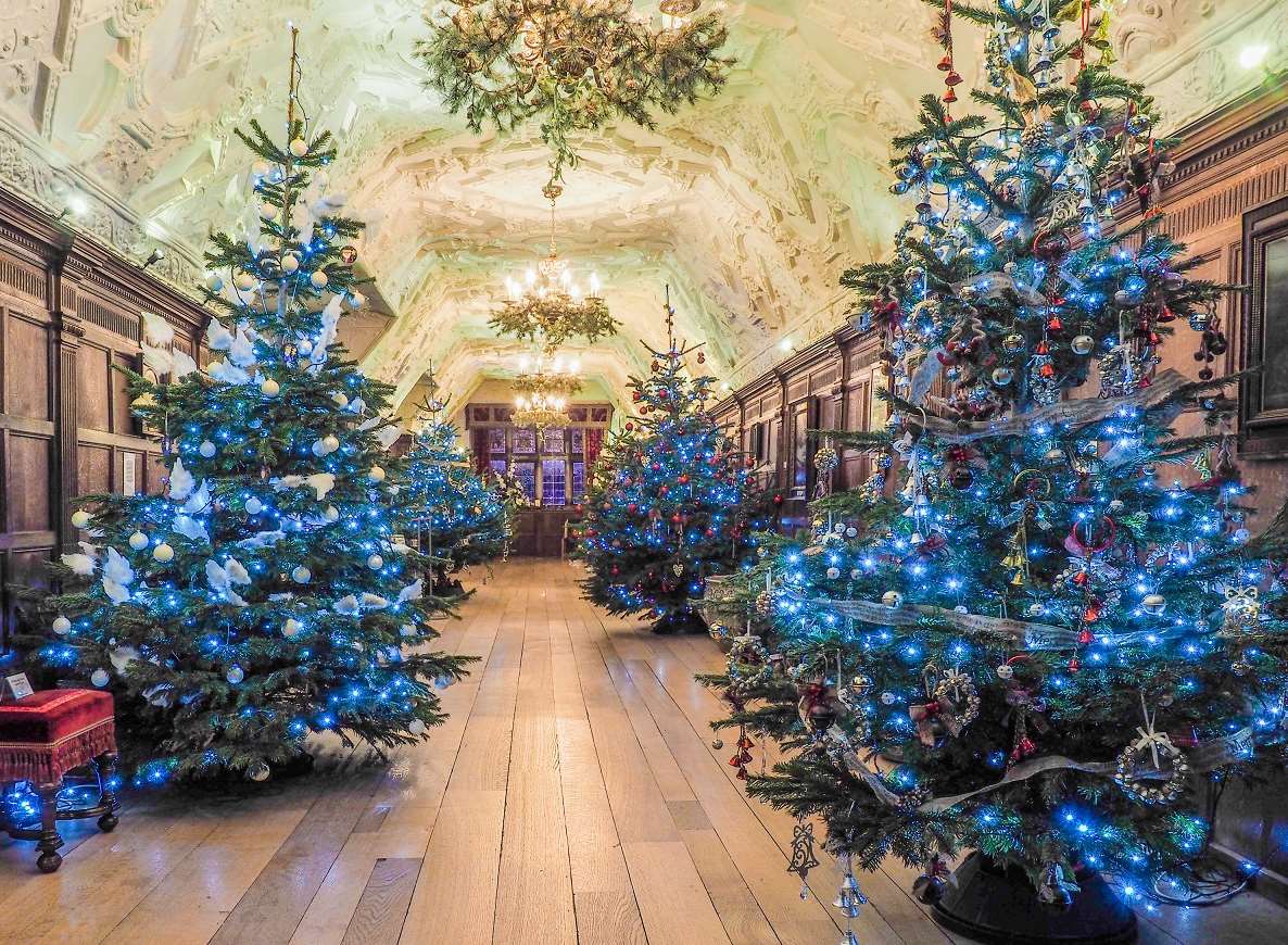Christmas Trees in the Long Gallery at Hever Castle