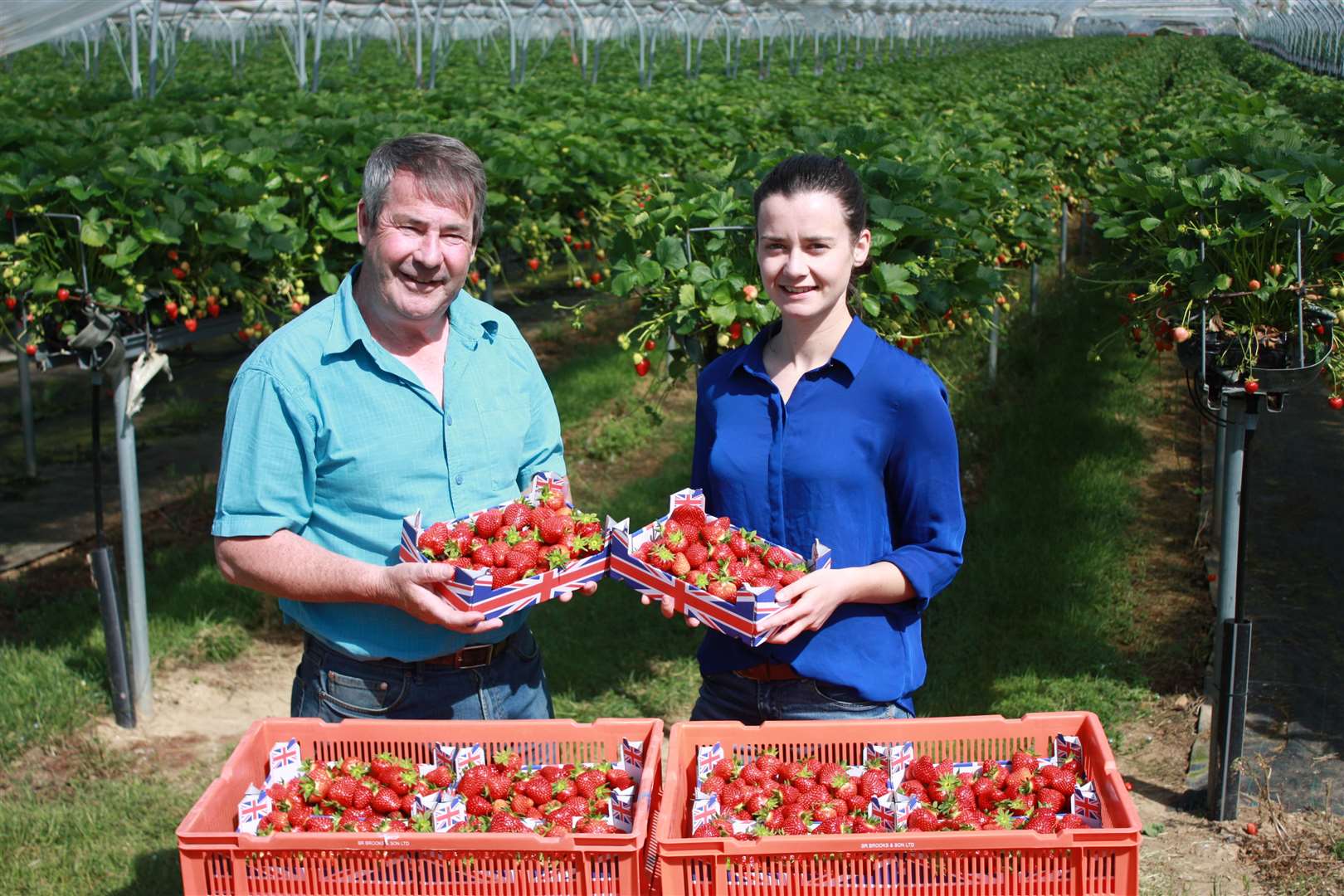 Alastair Brooks and his daughter Louise, whose family-run business, Brooks, in Faversham, has strawberries stocked in Tesco