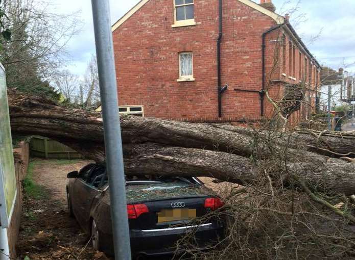 Some of the destruction in Tonbridge. Picture: Vicky Hatcher