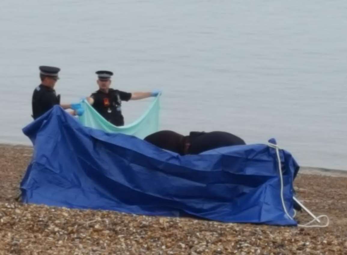 Tarpaulin round the body found on Herne Bay beach today