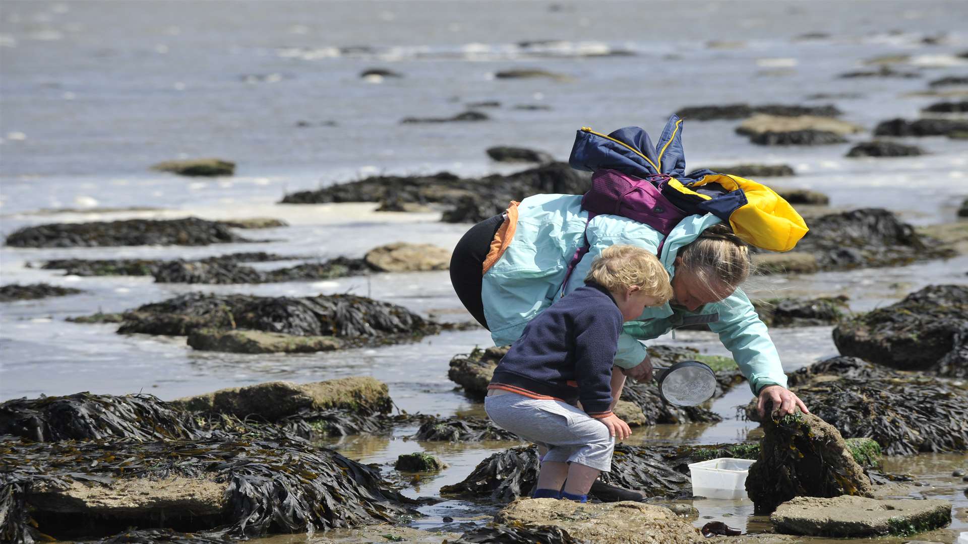 There's rock pooling at St Margaret’s Bay on Tuesday, August 2