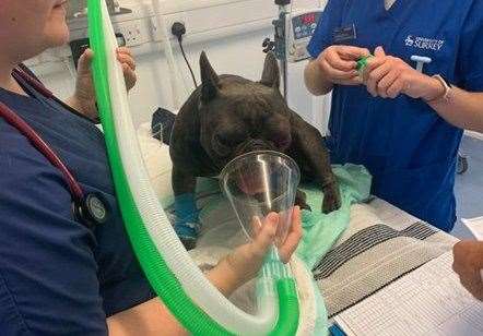 Arthur is having the operation to remove his eyes today