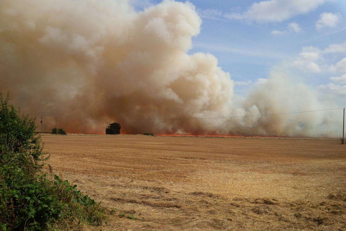 A corn fire in Marden last week. Picture: Brian Chantler