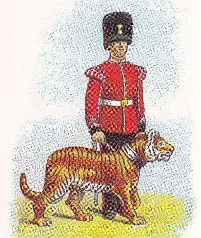 A cigarette card image of the Dover tiger. Picture: Phil Eyden, Western Heights Preservation Society