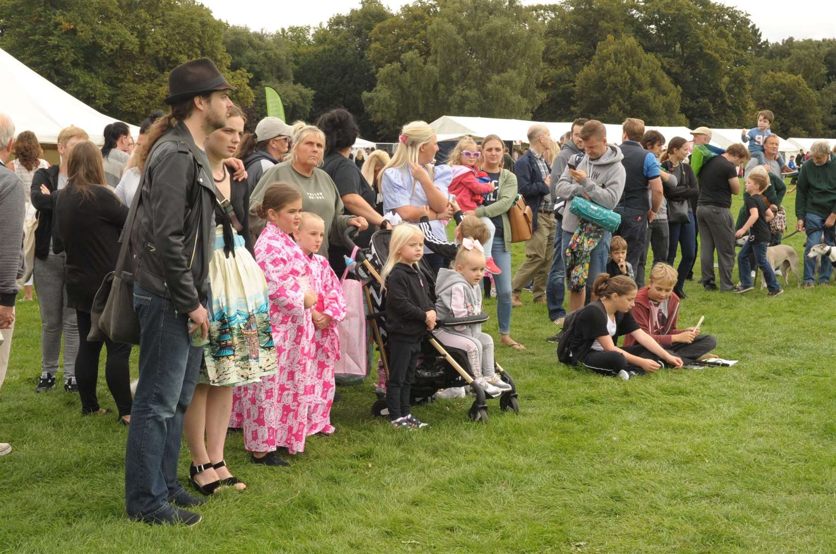 Crowds enjoying the activities at the Will Adams festival, in Gillingham, last year