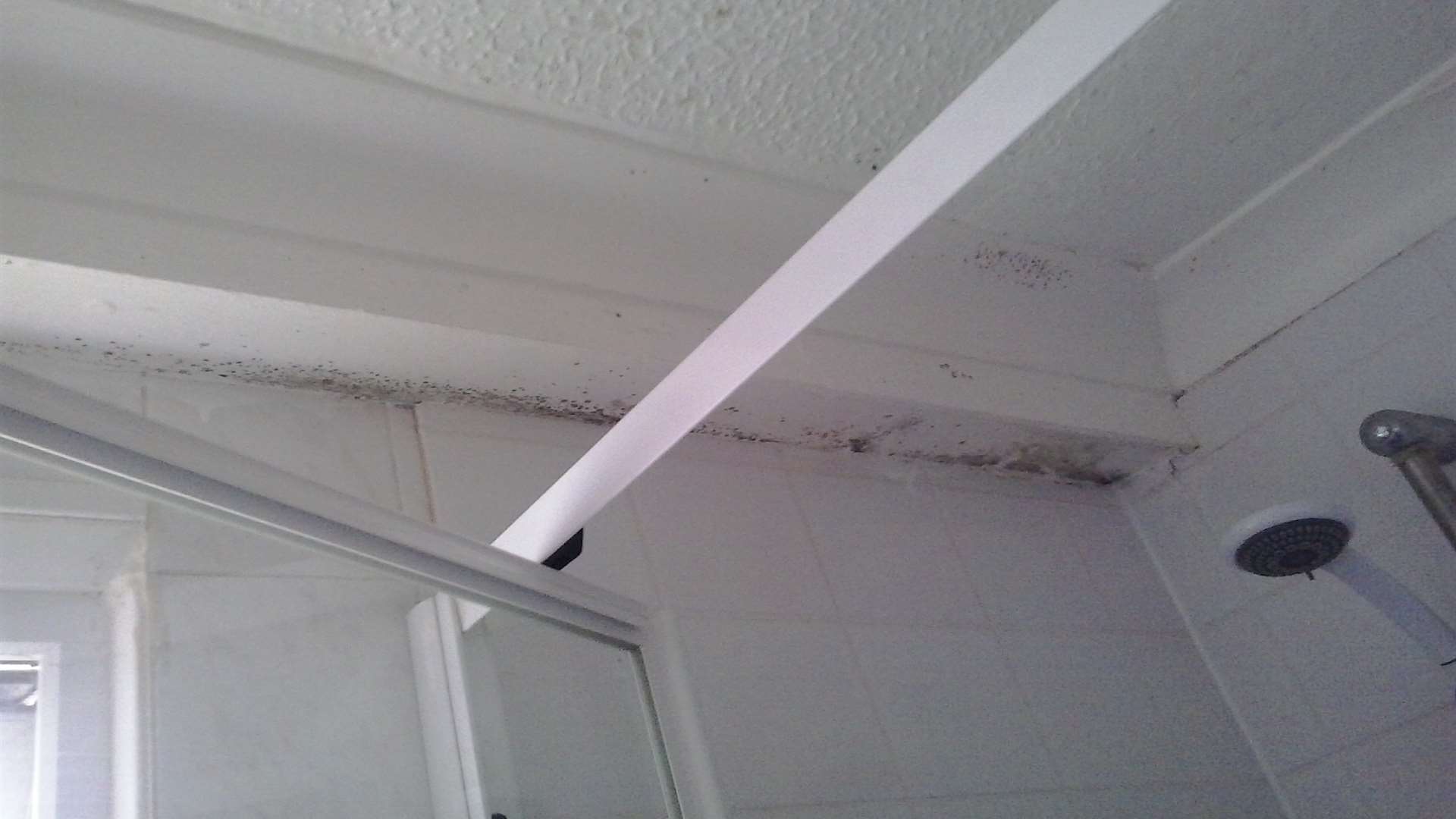 Mould was found on the chalet ceiling