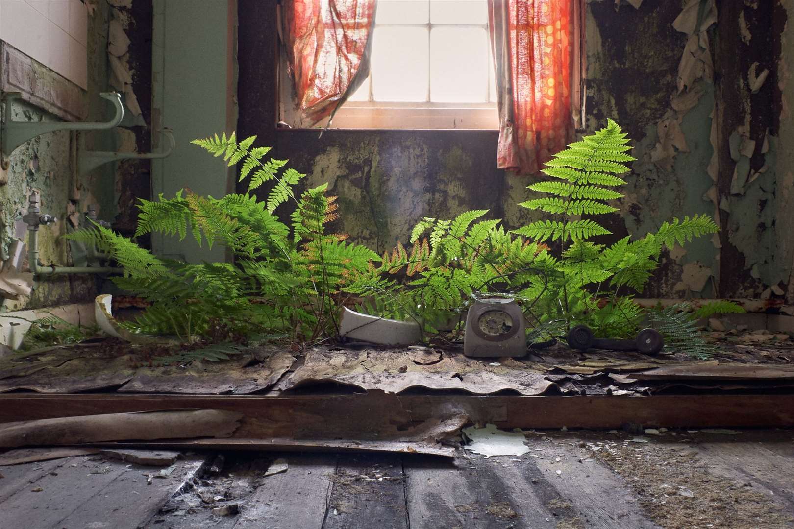 Photographer Jamie McGregor Smith won an award for this picture, taken in the derelict Leybourne Grange manor house in 2006