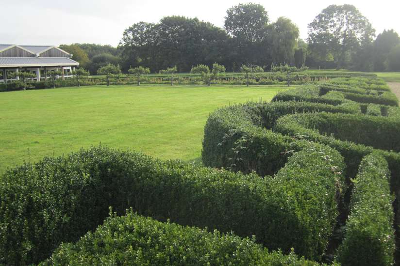 Fishbourne Roman Palace garden with its original style box hedging
