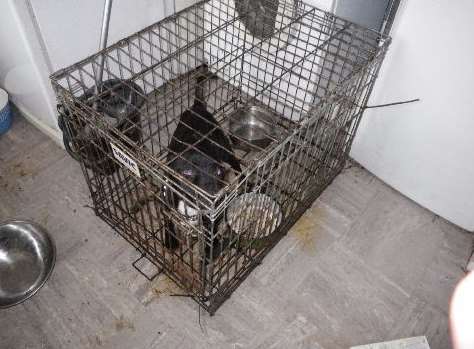 The pet was kept in a rusty cage