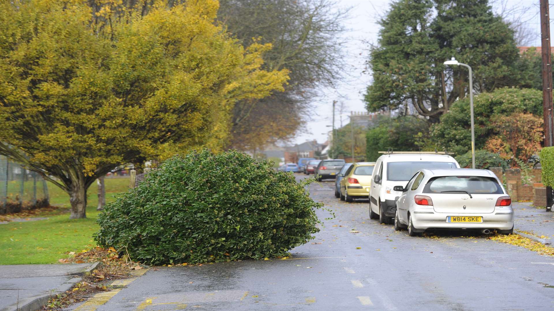 A fallen bush partly blocked Mill Road in Deal