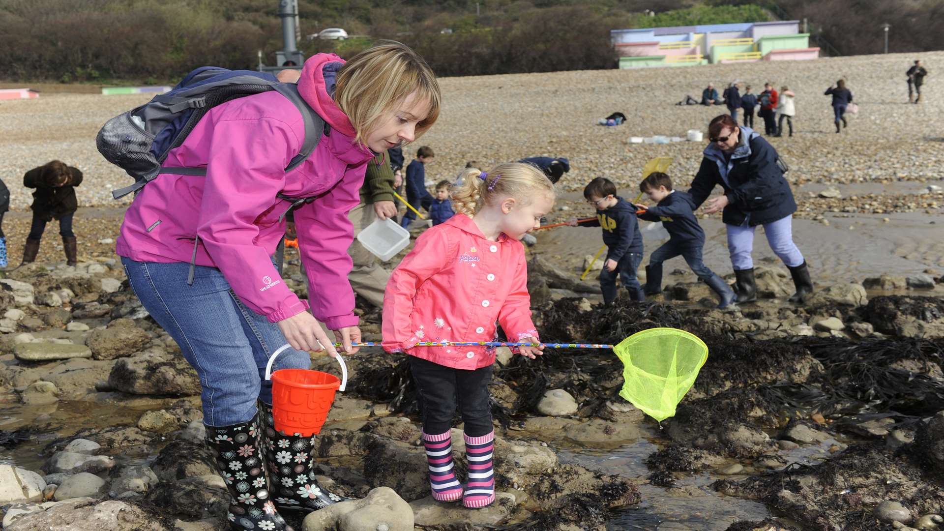 Rock pooling offers fun for all the family