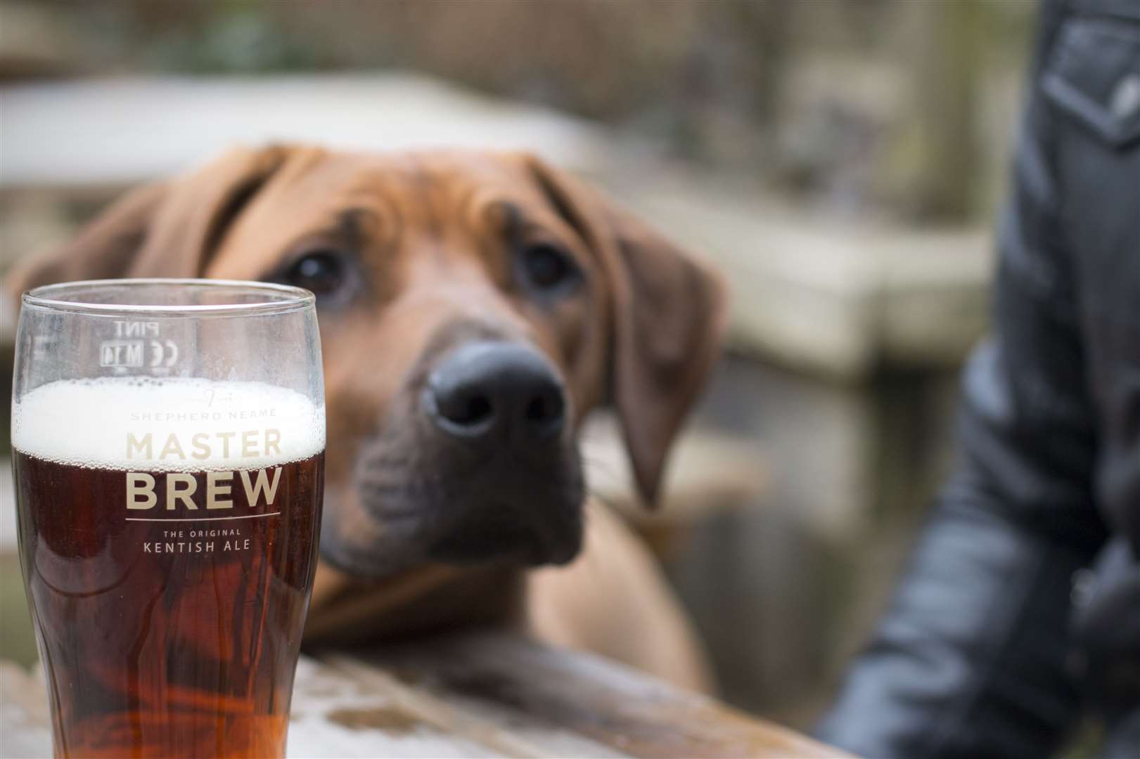 Remember sitting in a pub garden? Picture: Shepherd Neame