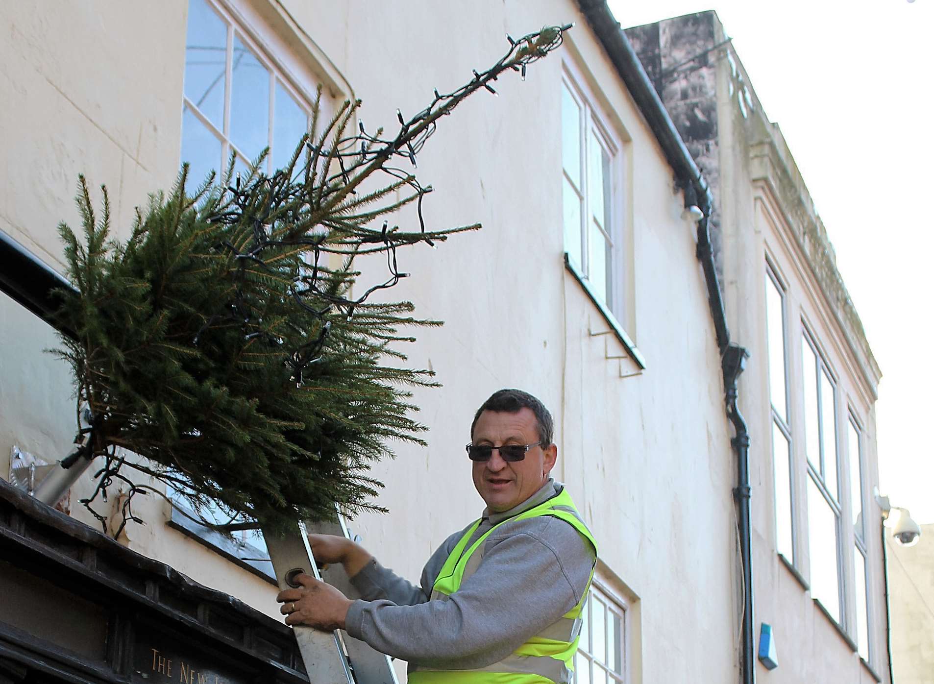 Steve Hutchings lends a hand with the trees