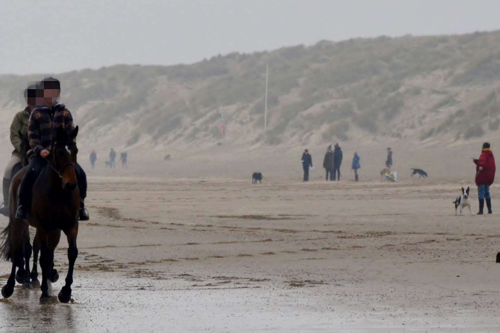 Police were called and took statements from walkers out on the beach on New Year's Eve
