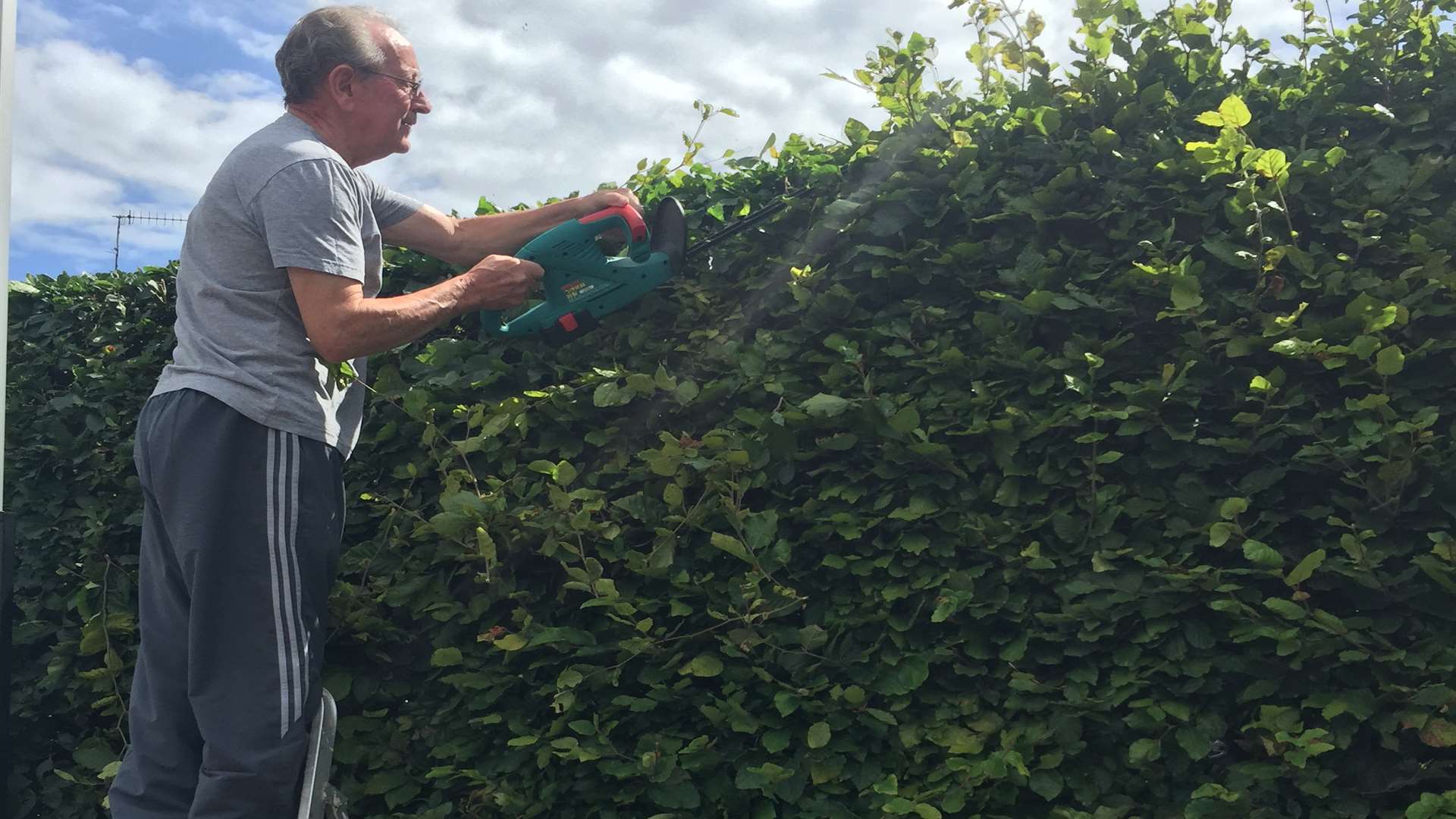 Trimming hedges now will bring its rewards later in the year