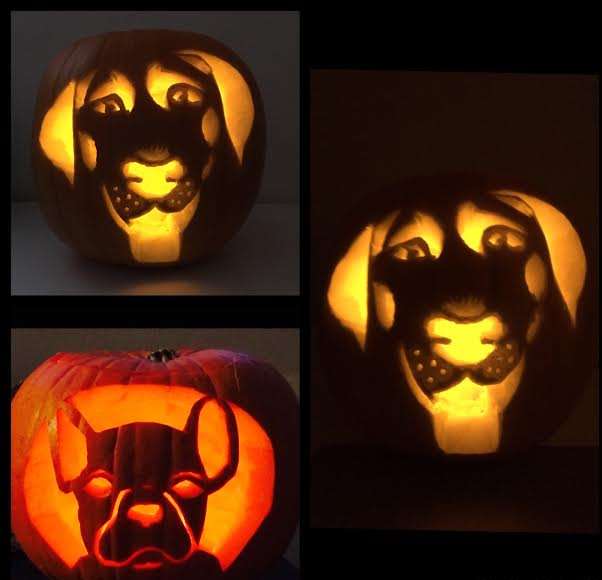 A couple of friendly pumpkins for you here... Abigail Dengate's niece asked her to carve their pet dogs, Junior the Labrador and Vinnie the frenchie