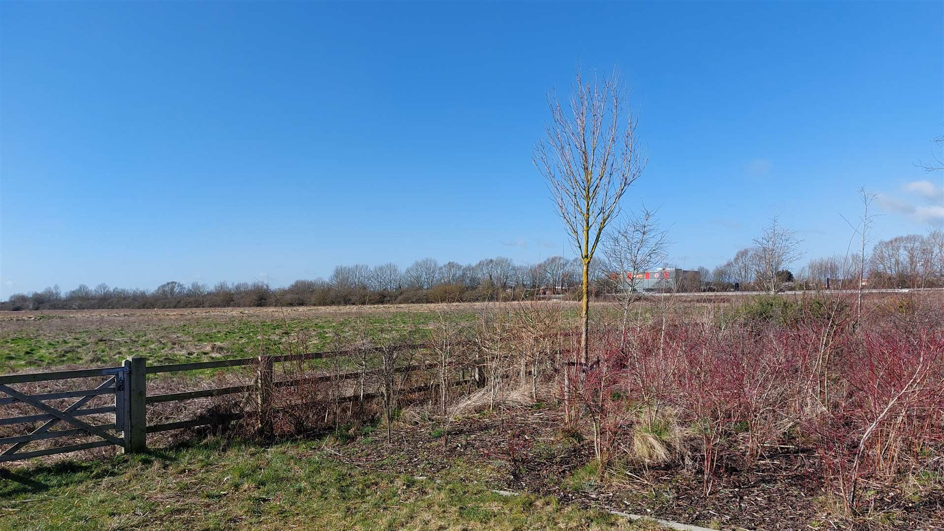 The land next to Asda is earmarked for the development