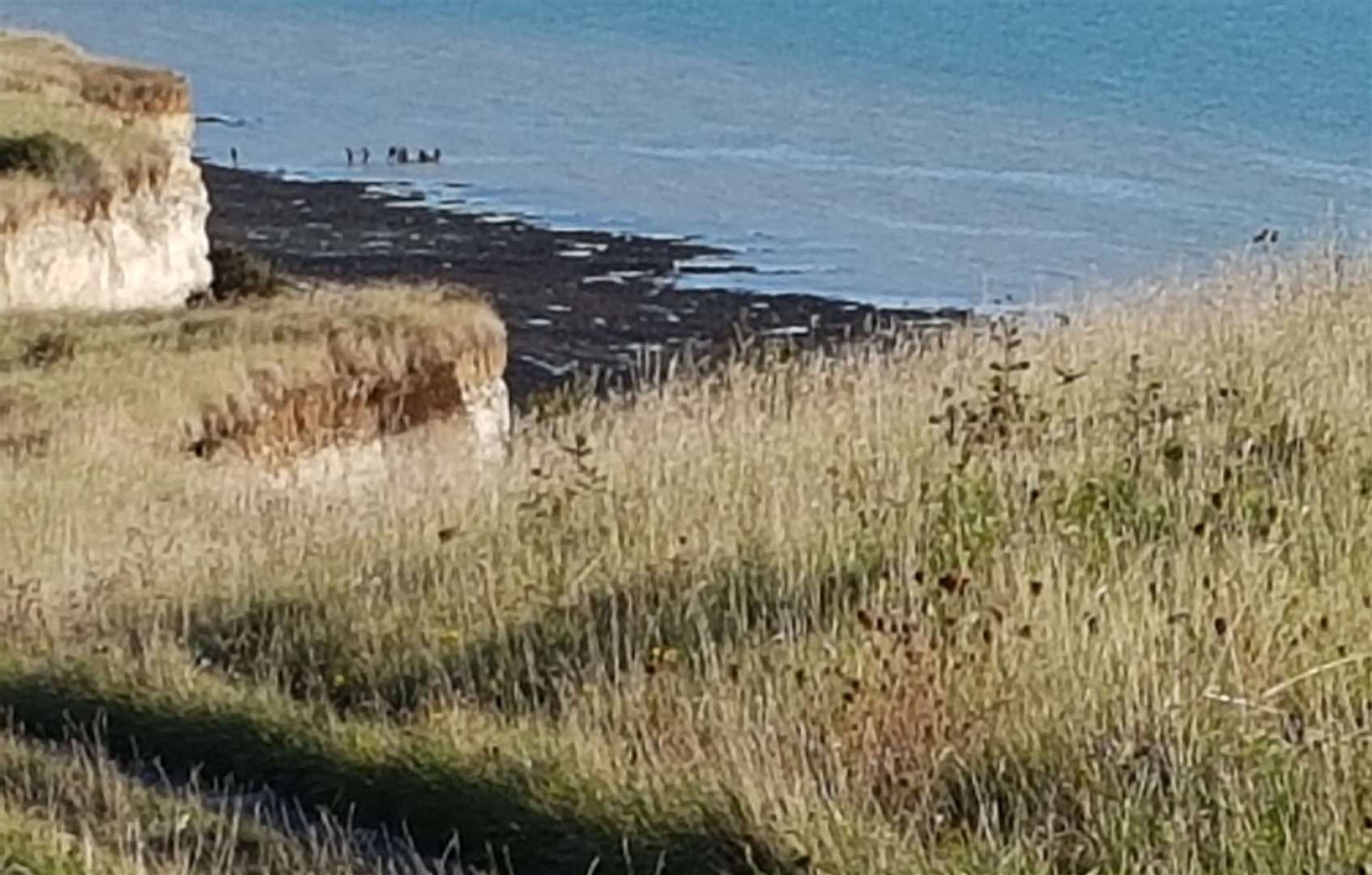 A man's body was recovered from the bottom of the cliffs at St Margaret's Bay