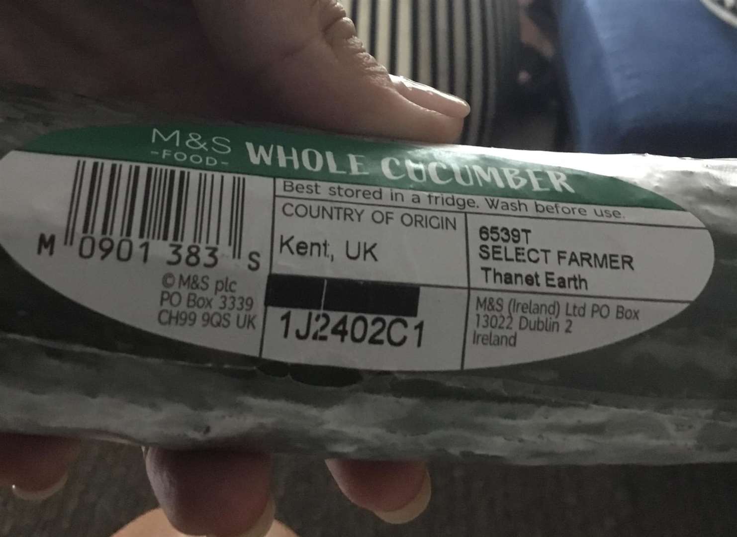 A cucumber grown at Thanet Earth has been found at a shop in Singapore. Picture: Pauline Rogers