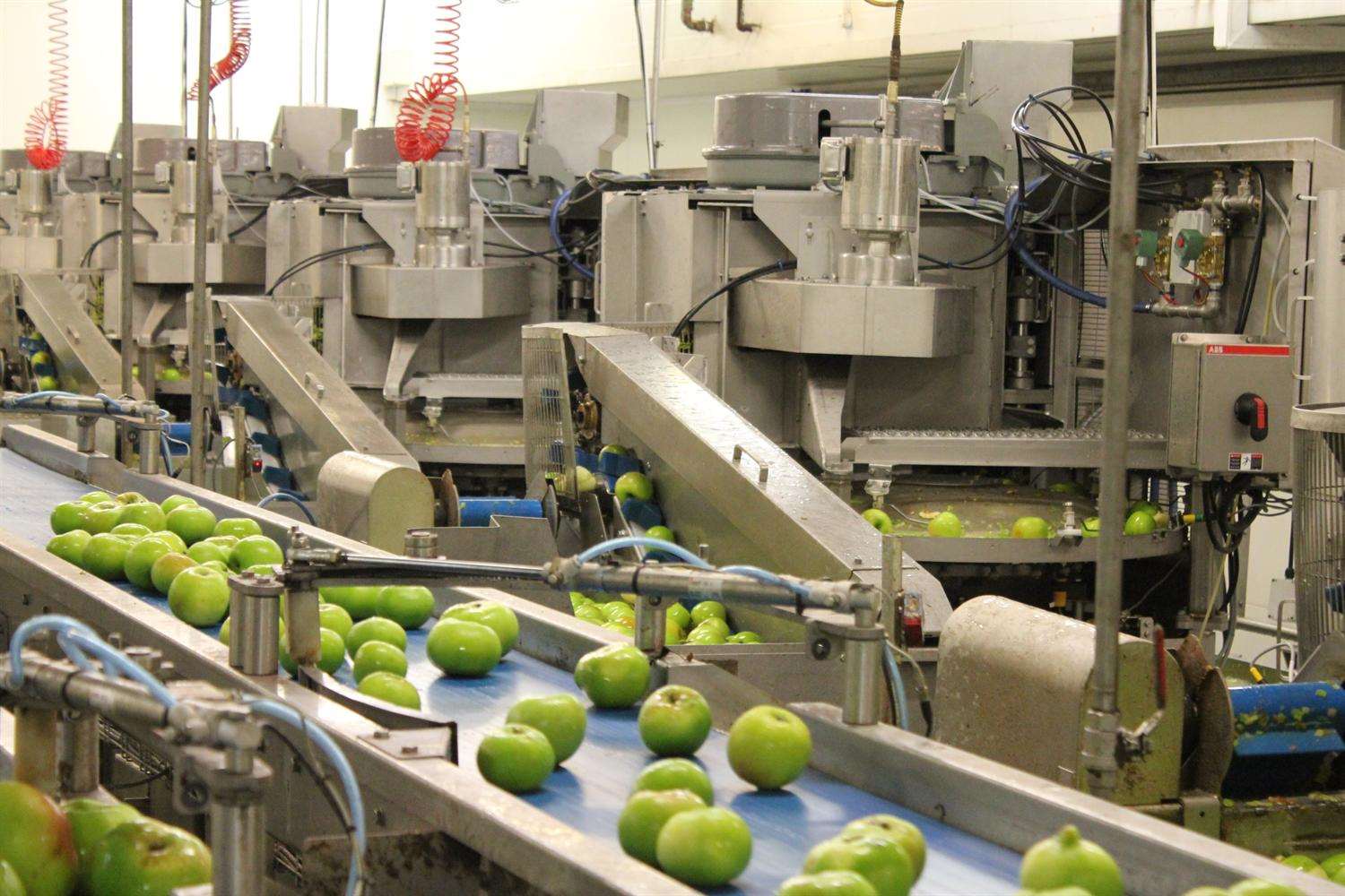Fourayes Farm is the UK's largest grower and processor of Bramley apples