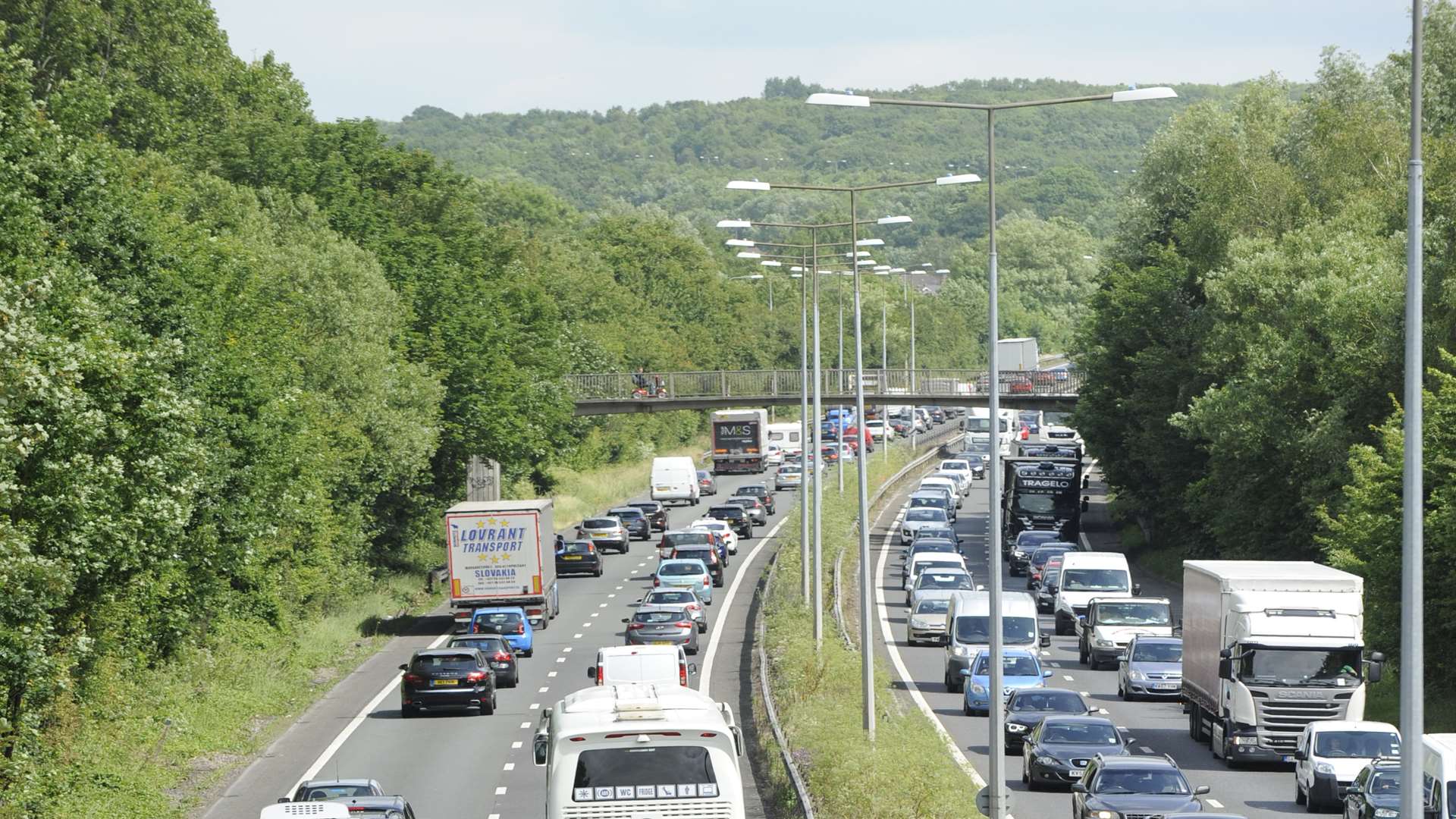There were delays on the A2 after the dog was spotted on the loose.