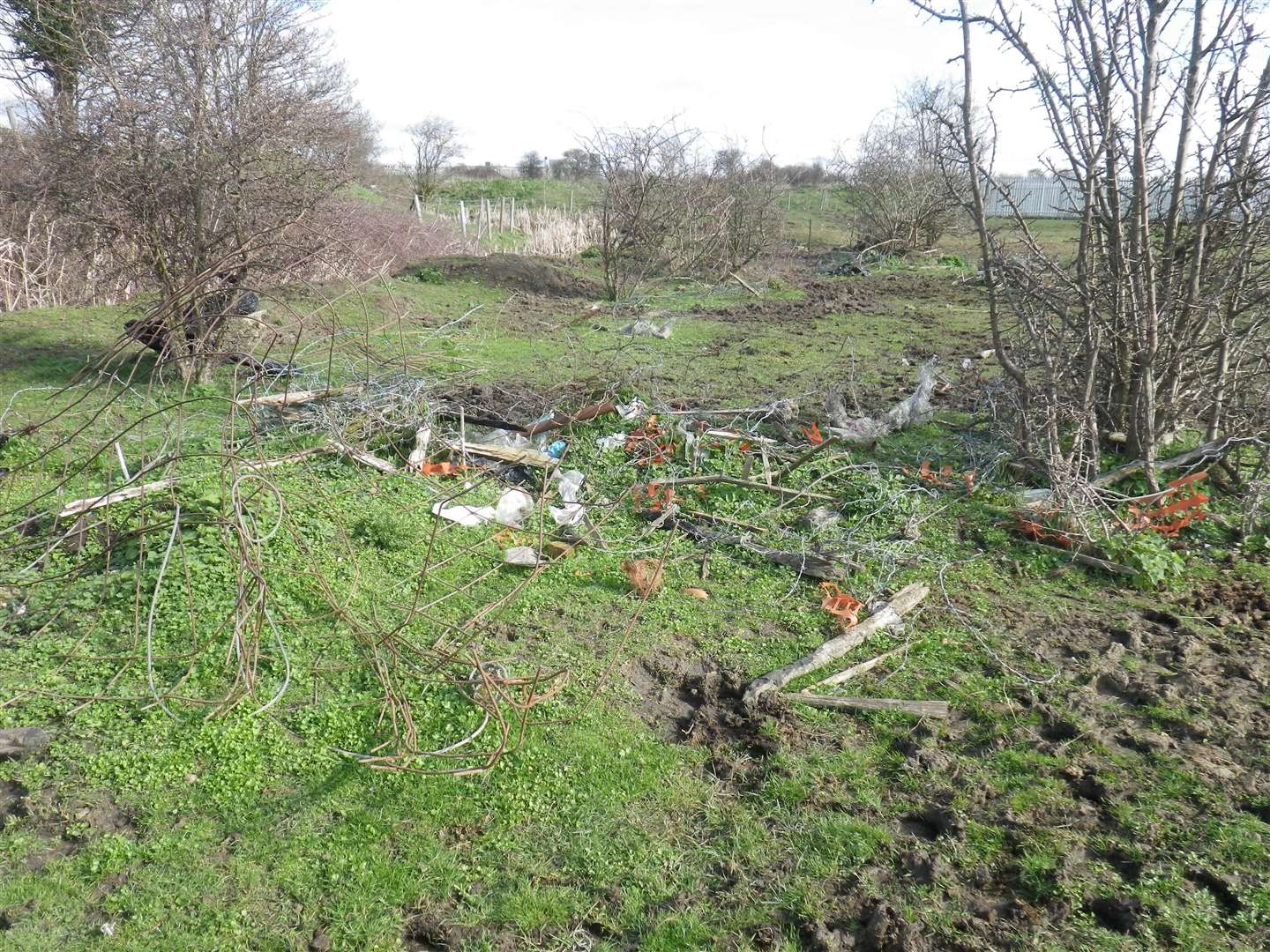 Barbed wire, plastic netting and litter were found dumped next to the horses. (3177504)