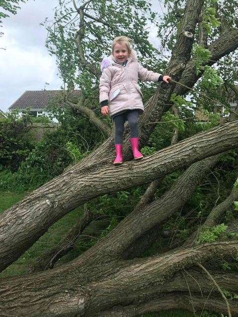 Kyle Stingemore's daughter Esme-Lynne on the fallen tree in Willesbrough. Picture: Kyle Stingemore