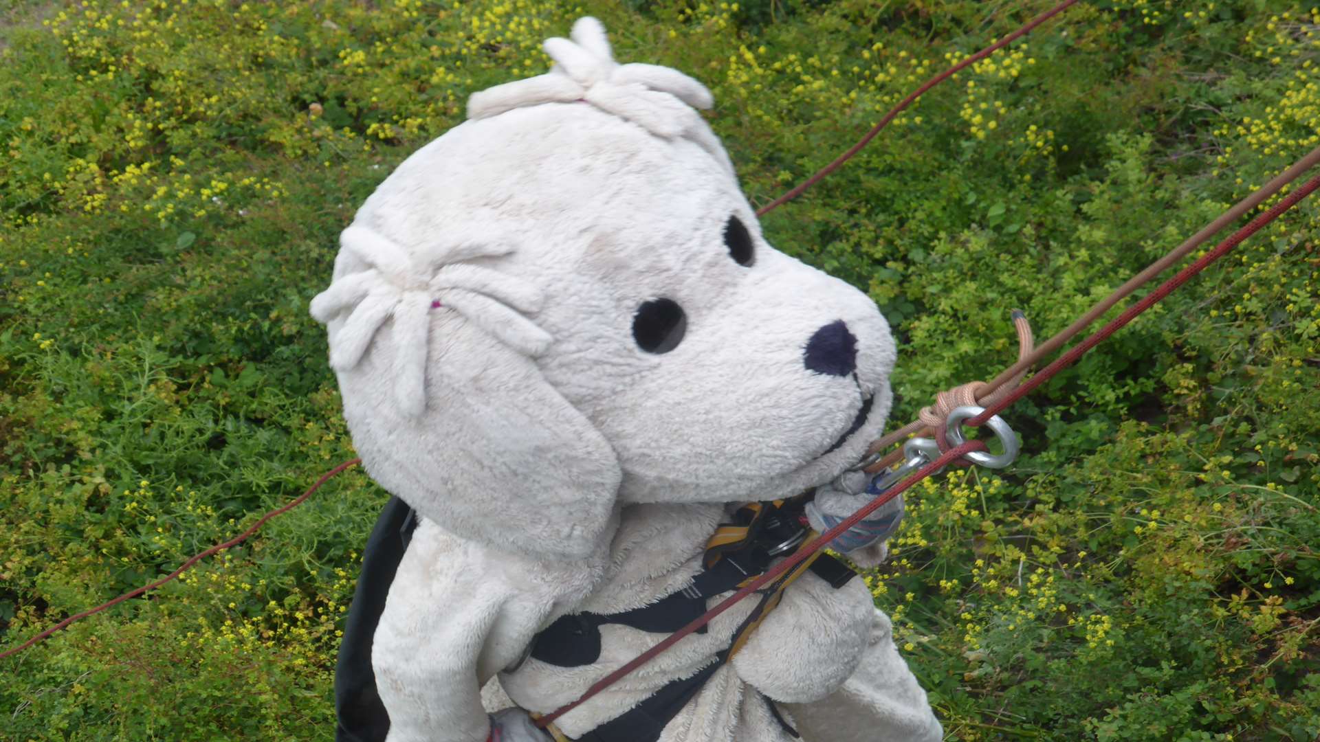 KM abseil challenges are a great way for charities to raise funds.