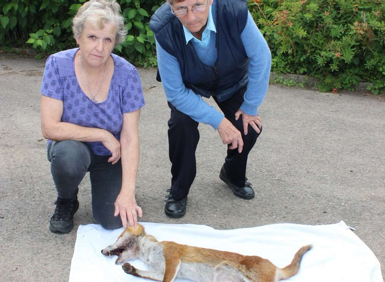 RSPCA workers Nicola Honey and Angela Walder with the dead fox