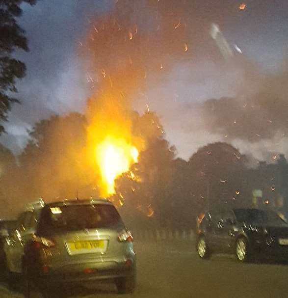 The tree was well alight near the Folkestone police station. Picture: @VXRowner200BHP