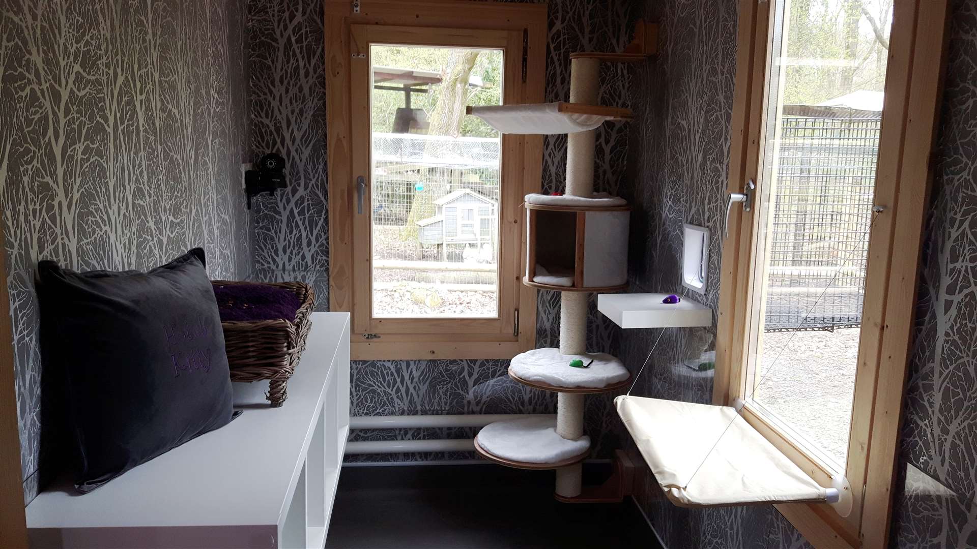 An example room at the cat hotel
