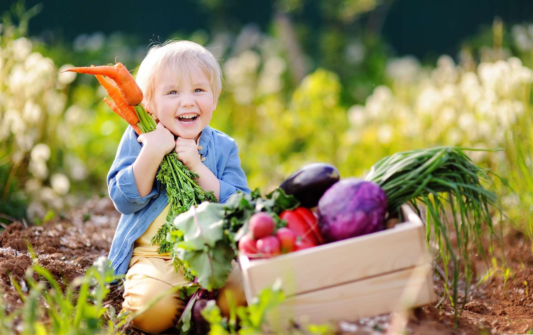 Help your children learn about growing vegetables