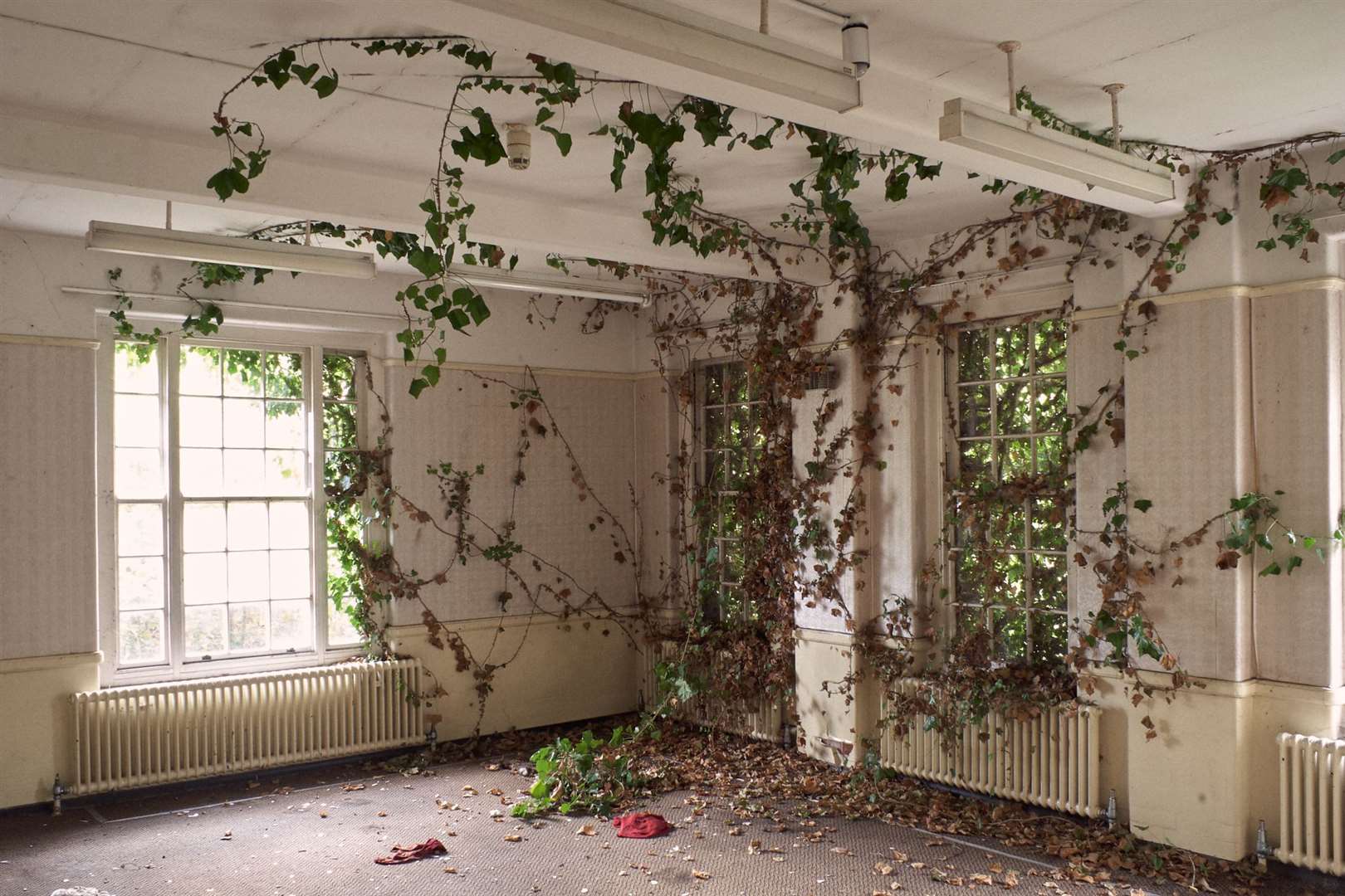 Vines creeping into the abandoned manor house in 2006