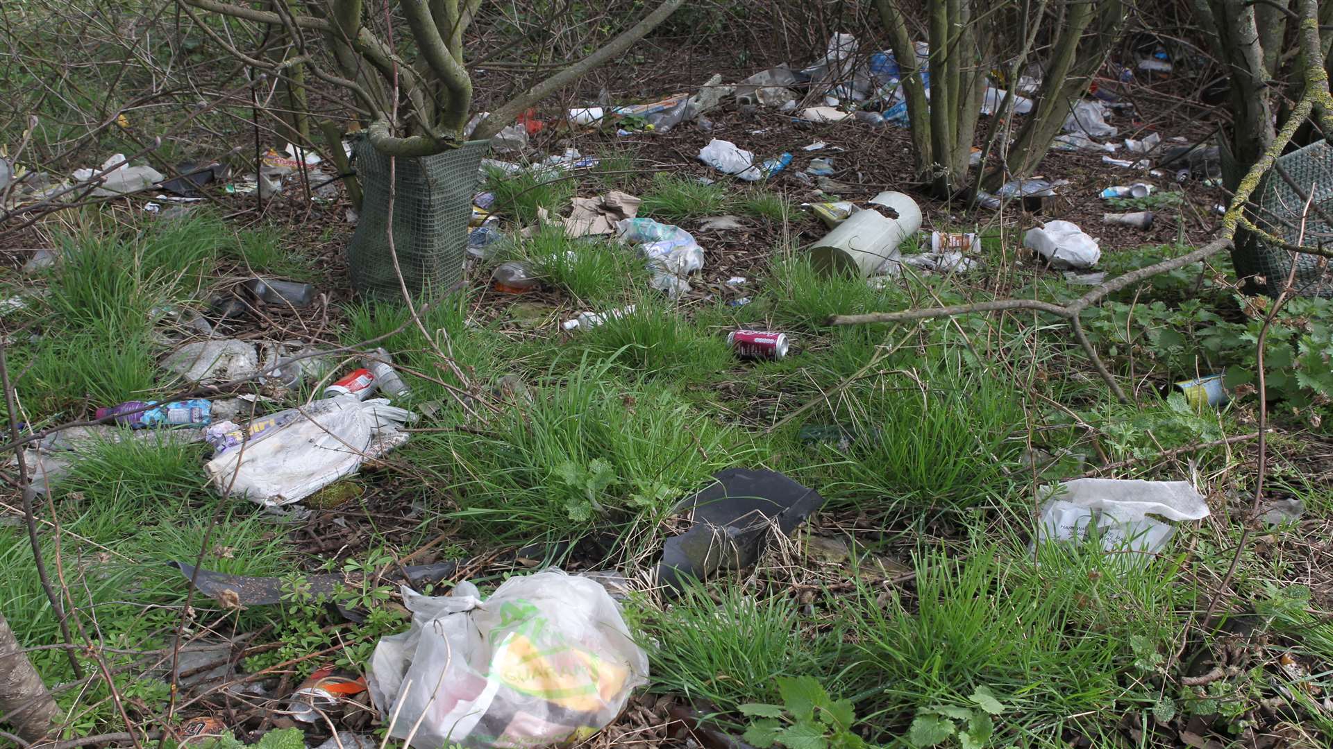 Litter found along the lay-by Sittingbourne-bound on the A249 just along from the Sheppey bridge crossing