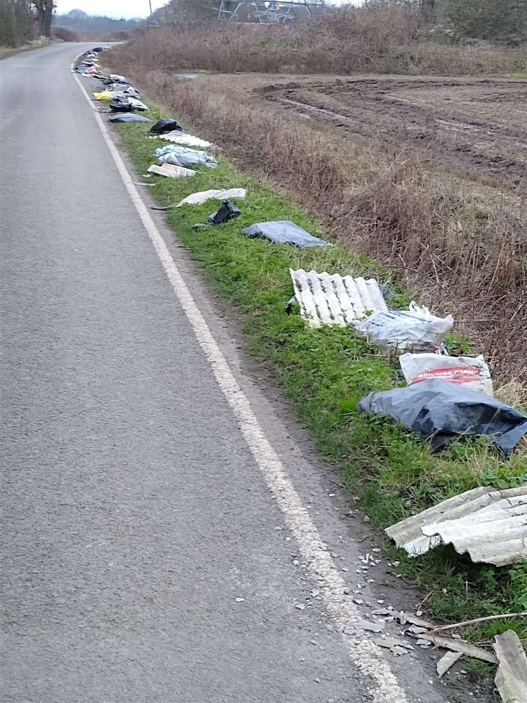 Asbestos roof tiles fly-tipped along the Iwade Road. Picture: Keith Lewis